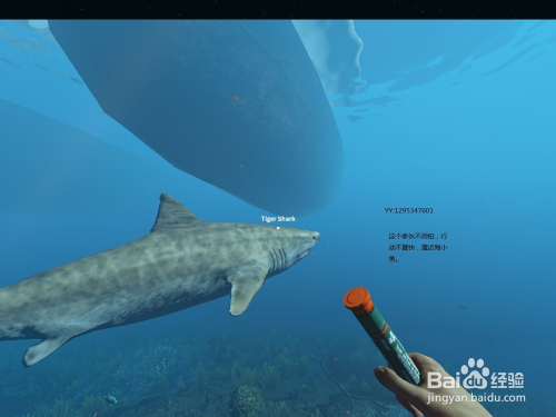 深海搁浅手机版免费下载苹果苹果手机里面捕鱼大作战这么在电脑上玩-第2张图片-太平洋在线下载