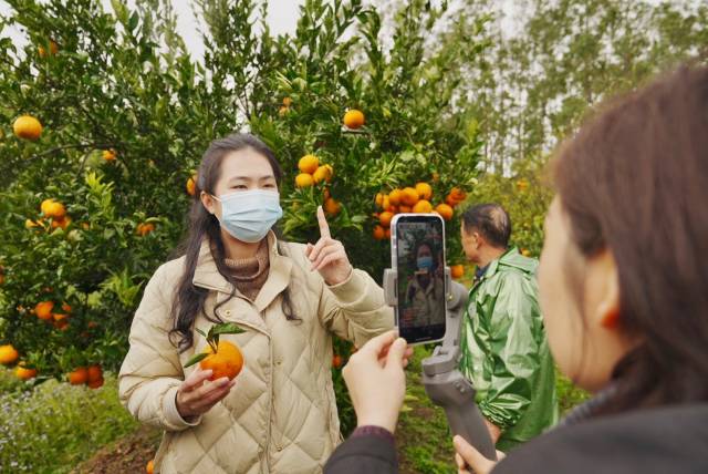 下载柑橘直播苹果手机版柑橘直播app苹果手机怎么下载