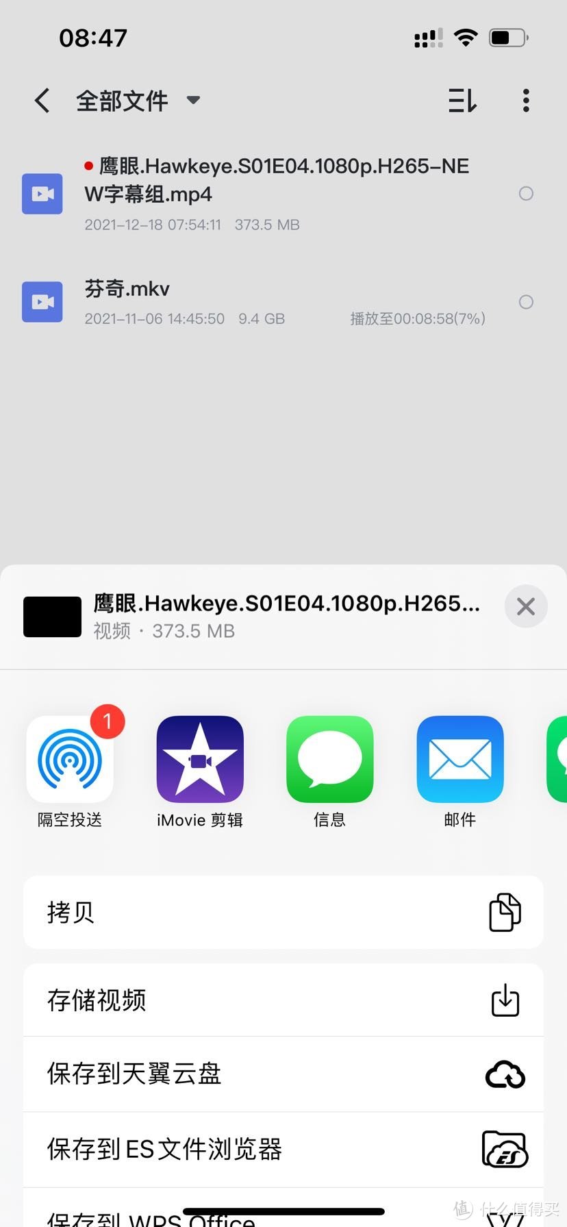 关于迅雷苹果手机版ios内测版的信息