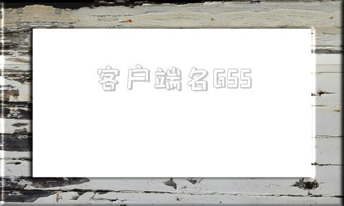 客户端名GSS浪潮gs管理软件客户端下载